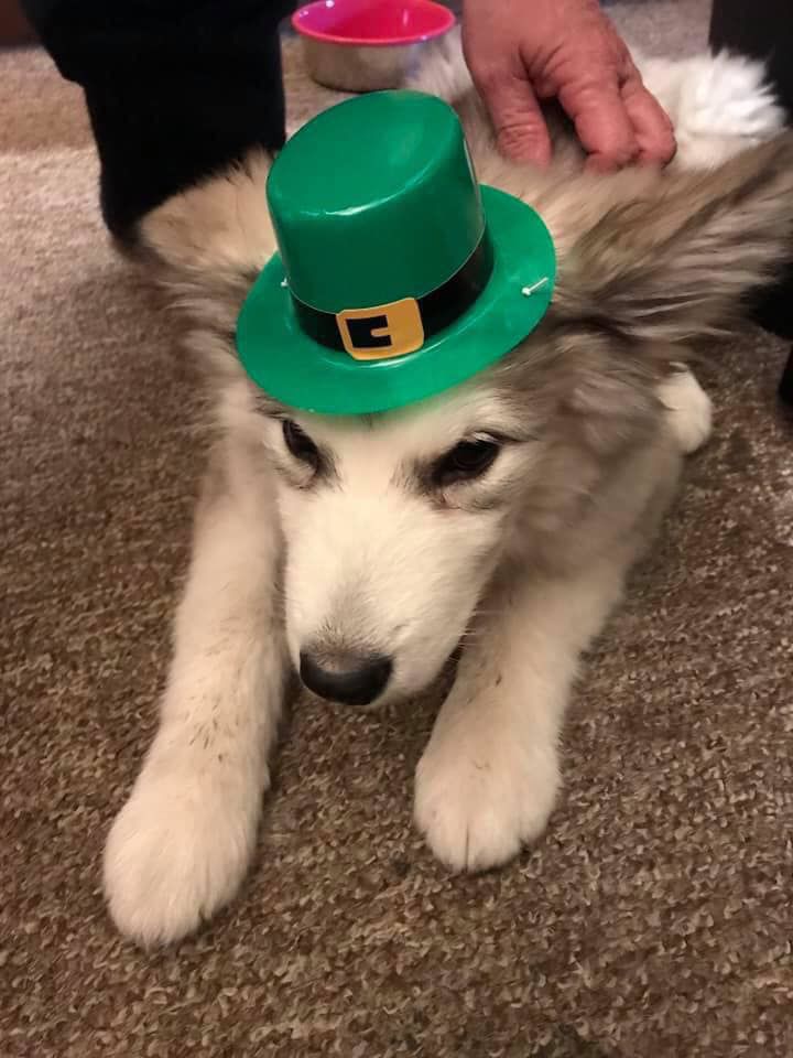 Time for a party!